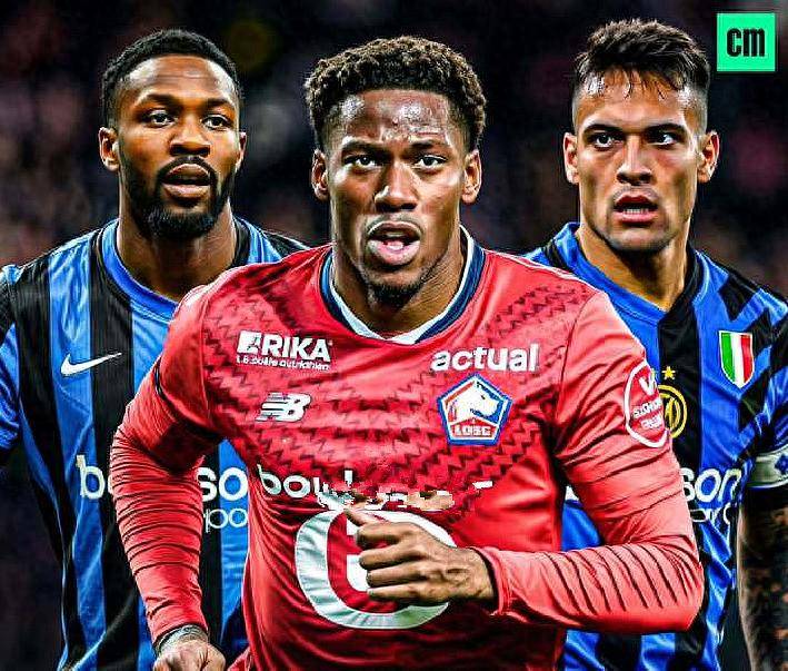 的一则报道 的一则报道