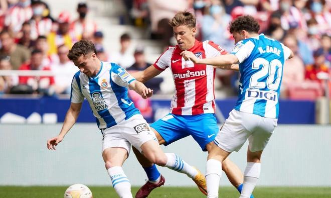 性别玩家组 性别玩家组